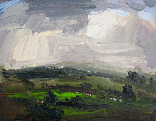 A Spring Landscape