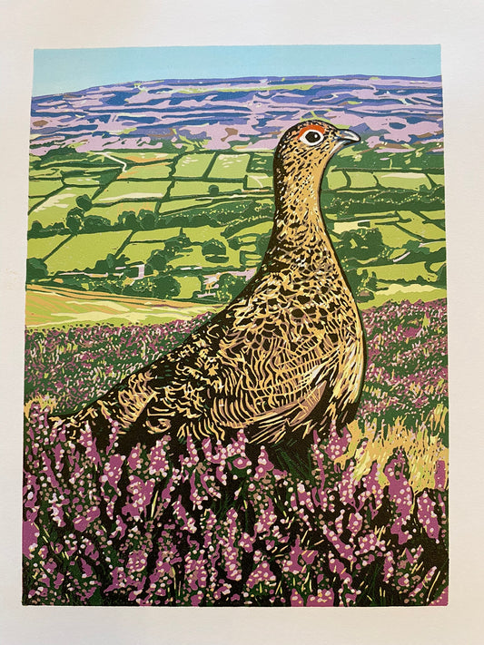 Swaledale Red Grouse