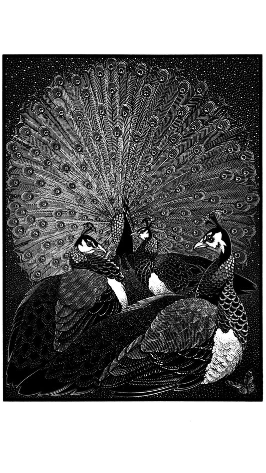 Ostentation of Peacocks