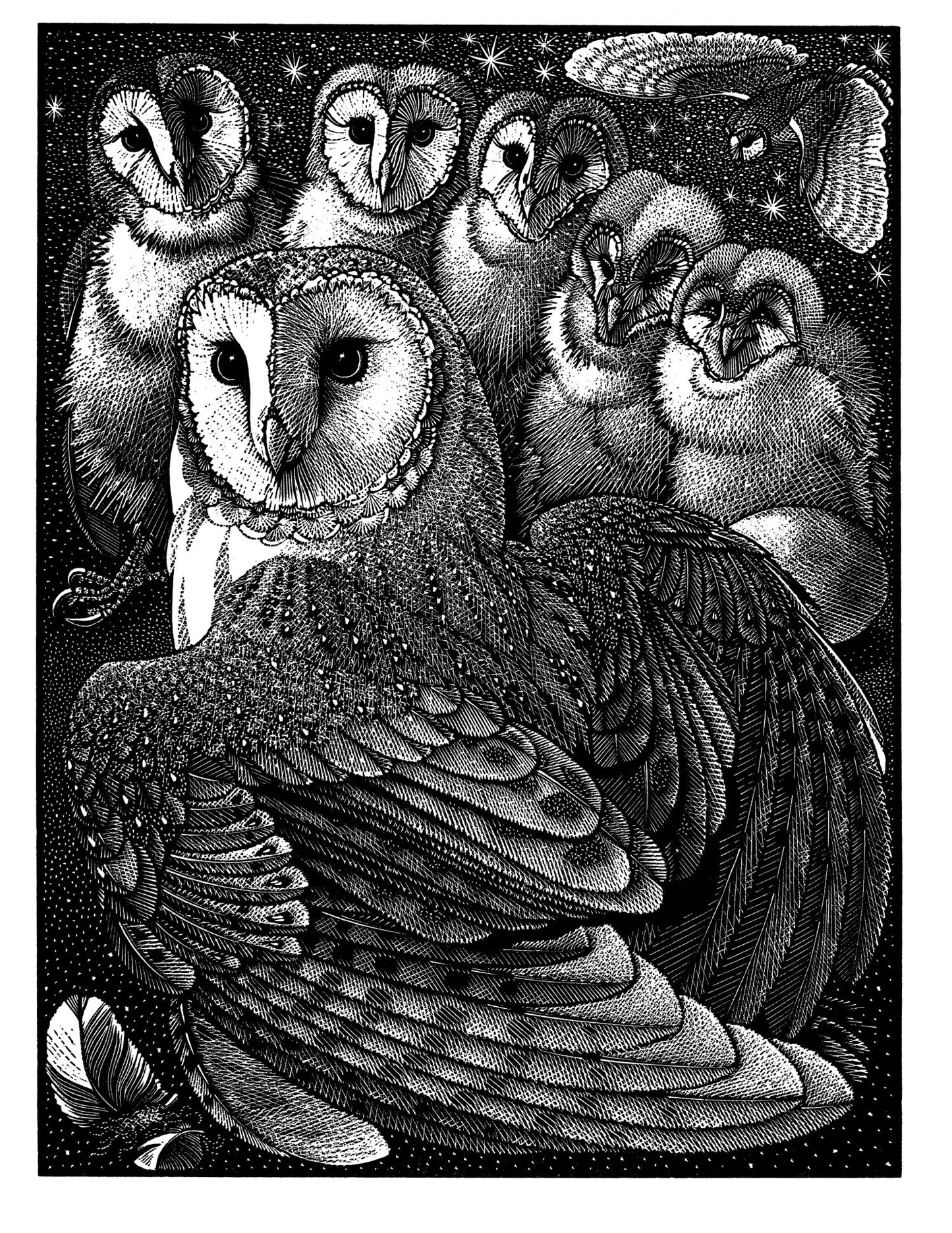 Parliament of Owls