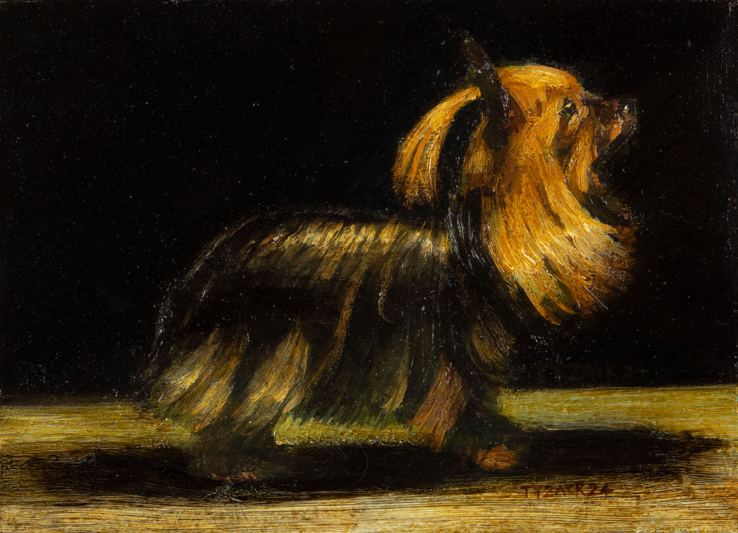 Yorkshire Terrier