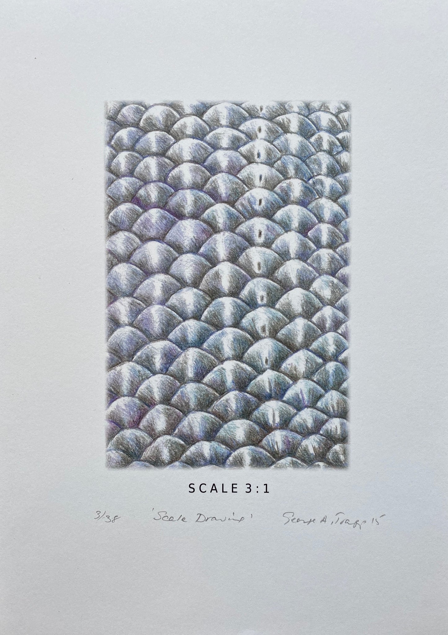 Scale Drawing