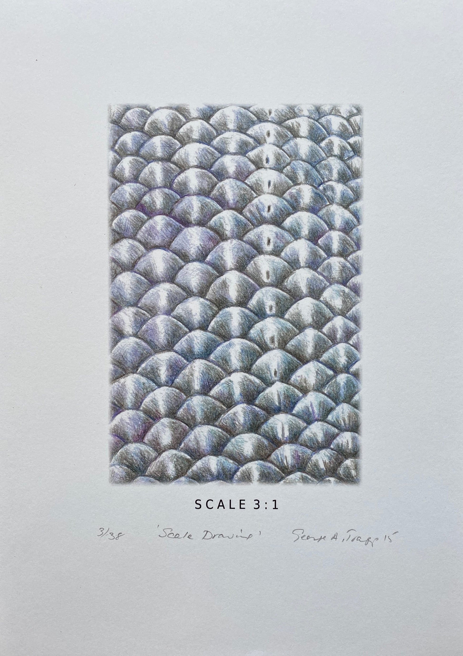 Scale Drawing